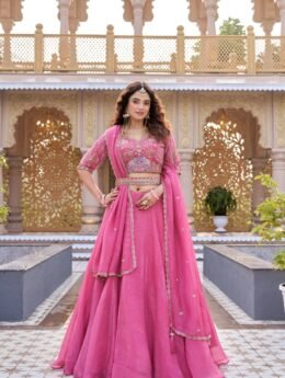 New Launching Wedding Lehenga Choli